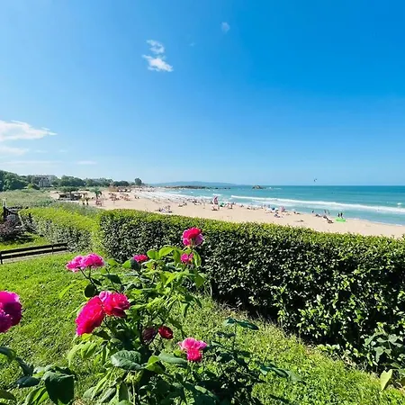 Lovely Studio Directly To Beach Area דירה *